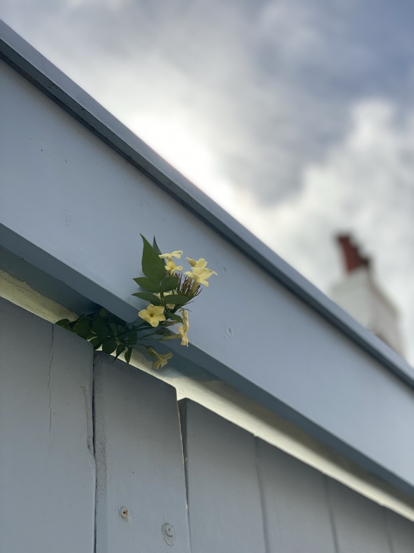 England — photograph 11