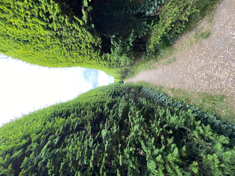 England — photograph 22