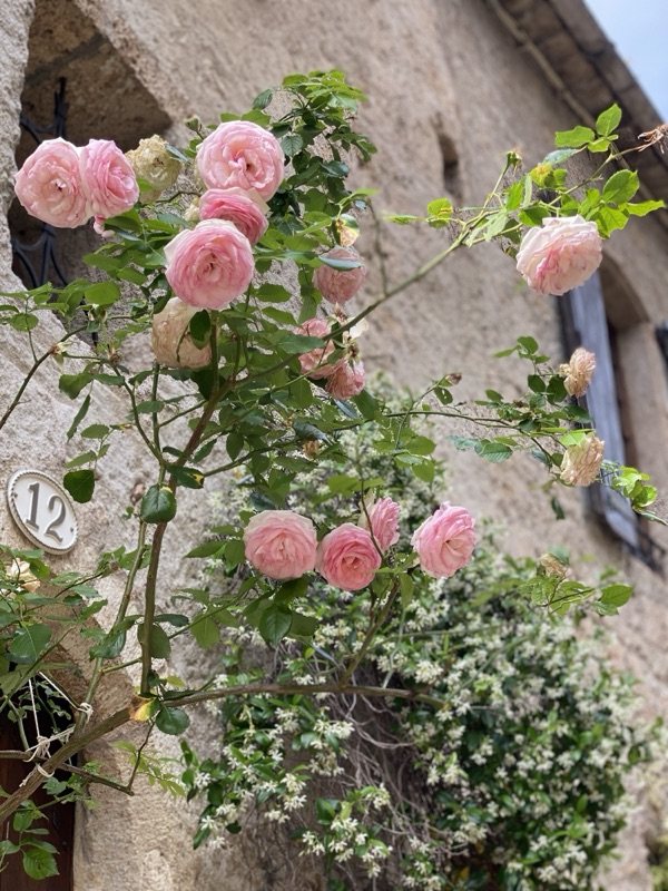 France — photograph 1