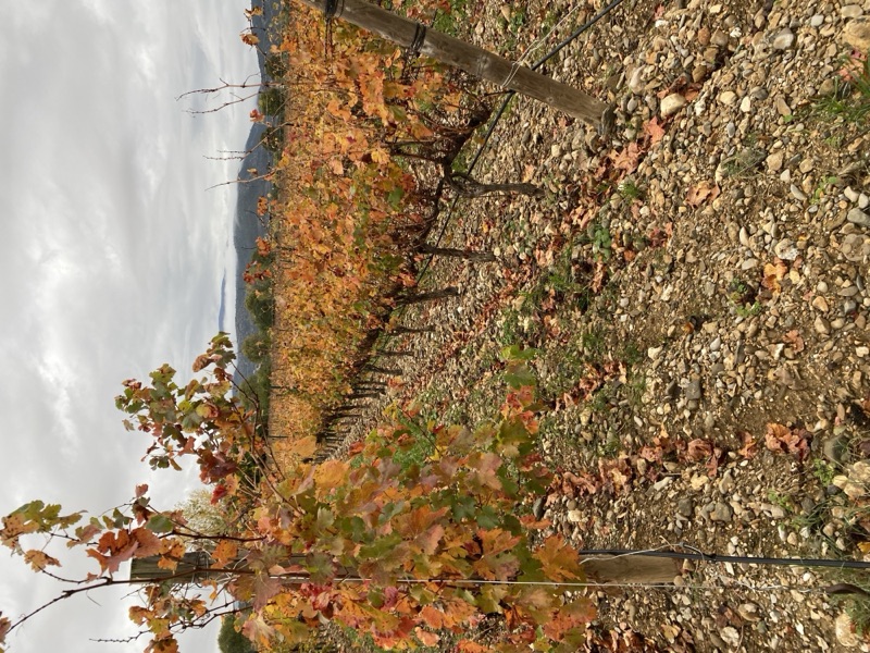 France — photograph 16
