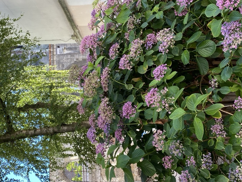 France — photograph 26