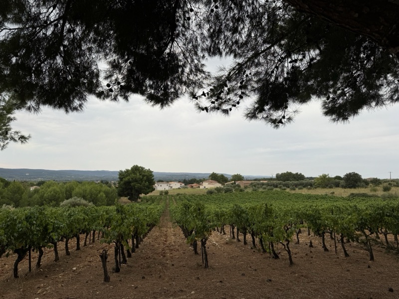 France — photograph 35
