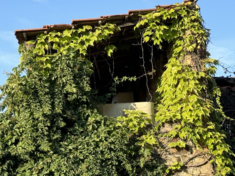 Italy — photograph 18