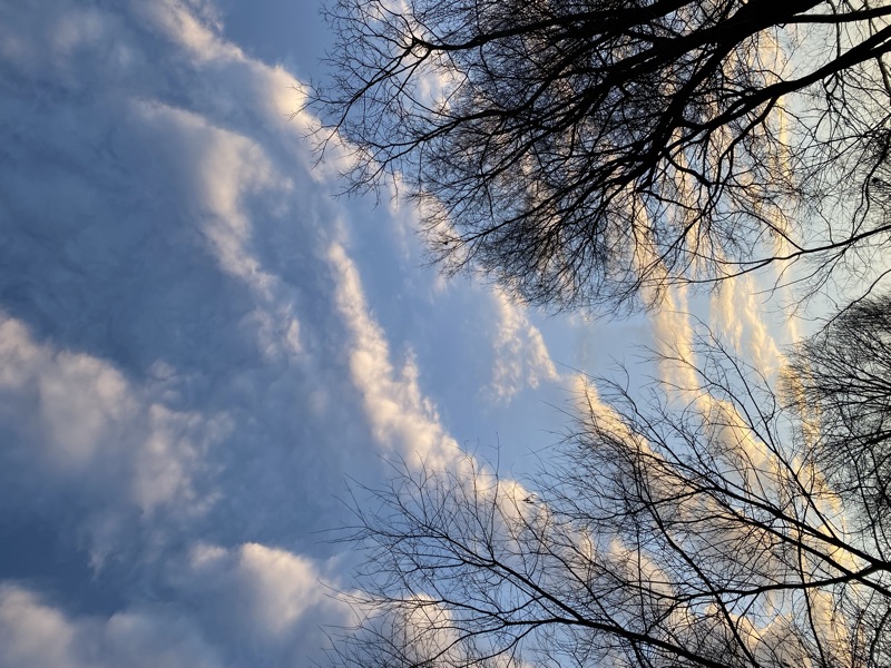 Ozarks — photograph 5