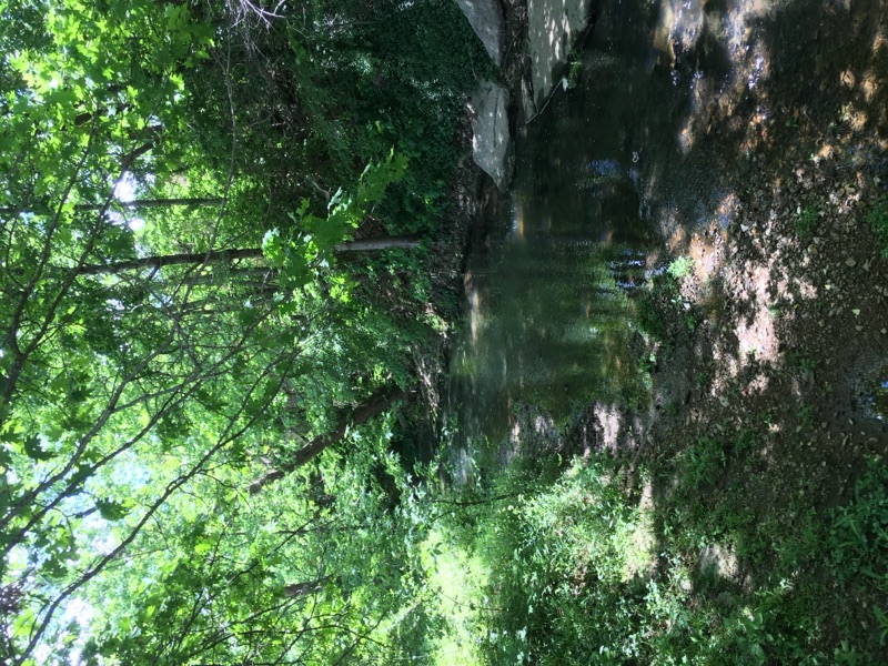 Ozarks — photograph 19