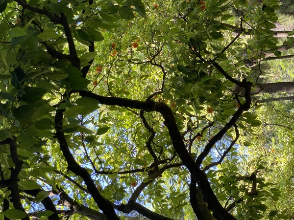 Spain &mdash; photograph 9